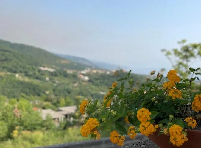 A Casa Di Zia Maria Fuscaldo